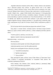 Statybos įmonės finansinė analizė 20 puslapis