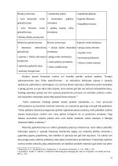 Statybos įmonės finansinė analizė 10 puslapis