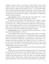 UAB „Relkonta“ finansinė analizė  13 puslapis