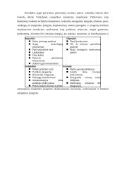 UAB ‘’Dainava’’  finansinė analizė 5 puslapis