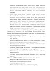 UAB ‘’Dainava’’  finansinė analizė 9 puslapis