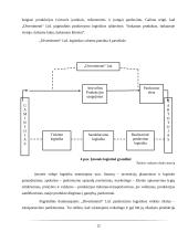 „Divertimenti“ logistikos veiklos apžvalga 12 puslapis
