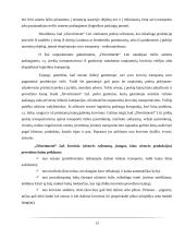 „Divertimenti“ logistikos veiklos apžvalga 13 puslapis