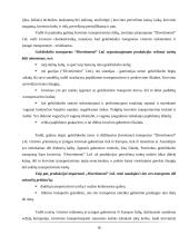 „Divertimenti“ logistikos veiklos apžvalga 16 puslapis