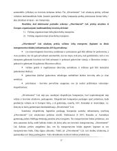 „Divertimenti“ logistikos veiklos apžvalga 17 puslapis