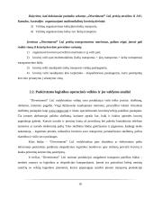 „Divertimenti“ logistikos veiklos apžvalga 18 puslapis