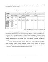 „Divertimenti“ logistikos veiklos apžvalga 5 puslapis
