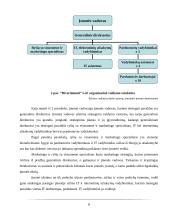 „Divertimenti“ logistikos veiklos apžvalga 8 puslapis