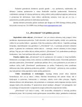 „Divertimenti“ logistikos veiklos apžvalga 9 puslapis