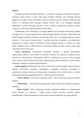 UAB „Devismenti“ paslaugų efektyvumo gerinimas 2 puslapis