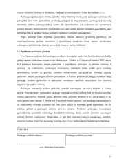 UAB „Devismenti“ paslaugų efektyvumo gerinimas 11 puslapis