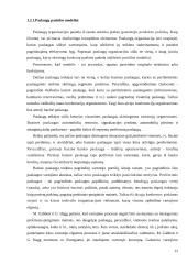 UAB „Devismenti“ paslaugų efektyvumo gerinimas 12 puslapis