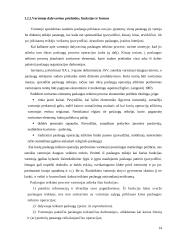 UAB „Devismenti“ paslaugų efektyvumo gerinimas 14 puslapis