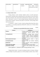 UAB „Devismenti“ paslaugų efektyvumo gerinimas 17 puslapis