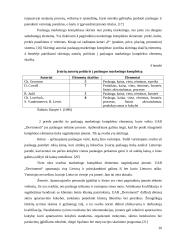 UAB „Devismenti“ paslaugų efektyvumo gerinimas 20 puslapis