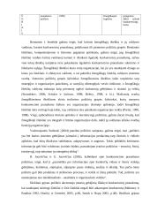 Organizacijos konkurencinių pranašumų portfelis  11 puslapis