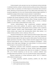 Organizacijos konkurencinių pranašumų portfelis  13 puslapis