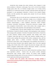 Organizacijos konkurencinių pranašumų portfelis  18 puslapis