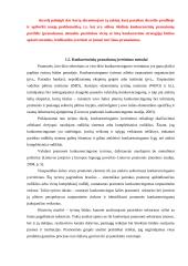 Organizacijos konkurencinių pranašumų portfelis  19 puslapis