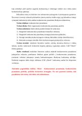 Organizacijos konkurencinių pranašumų portfelis  6 puslapis