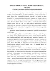 Organizacijos konkurencinių pranašumų portfelis  7 puslapis