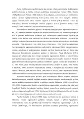 Organizacijos konkurencinių pranašumų portfelis  8 puslapis