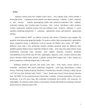 Apskaitos praktikos ataskaita "RRR" 2 puslapis