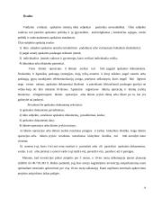 Apskaitos praktikos ataskaita "RRR" 14 puslapis