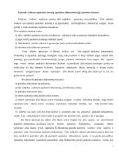 Apskaitos praktikos ataskaita "RRR" 3 puslapis