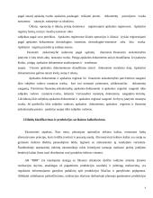 Apskaitos praktikos ataskaita "RRR" 4 puslapis