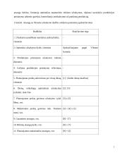 Apskaitos praktikos ataskaita "RRR" 5 puslapis