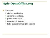 Lietuvybė biuro programų pakete OpenOffice.org 6 puslapis