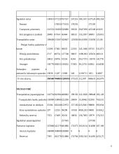 UAB “Biržų šilumos tinklai” finansinė analizė	 12 puslapis