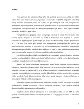 UAB “Biržų šilumos tinklai” finansinė analizė	 20 puslapis