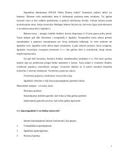 UAB “Biržų šilumos tinklai” finansinė analizė	 4 puslapis