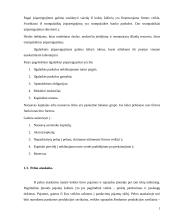 UAB “Biržų šilumos tinklai” finansinė analizė	 5 puslapis