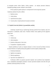 UAB “Biržų šilumos tinklai” finansinė analizė	 6 puslapis