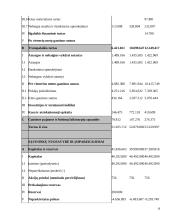 UAB “Biržų šilumos tinklai” finansinė analizė	 10 puslapis