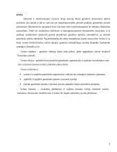 Gamybos veiksnių kaitos įtaka įmonės pelnui 2 puslapis