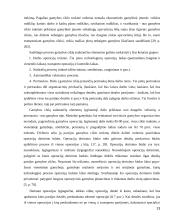 Gamybos veiksnių kaitos įtaka įmonės pelnui 13 puslapis