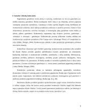 Gamybos veiksnių kaitos įtaka įmonės pelnui 3 puslapis