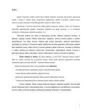 Ilgalaikio turto sudėties analizė 2 puslapis