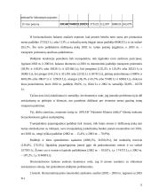 Ilgalaikio turto sudėties analizė 13 puslapis