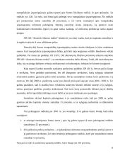 Ilgalaikio turto sudėties analizė 19 puslapis