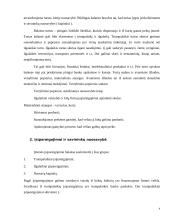 Ilgalaikio turto sudėties analizė 4 puslapis