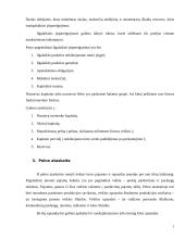 Ilgalaikio turto sudėties analizė 5 puslapis