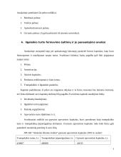 Ilgalaikio turto sudėties analizė 6 puslapis