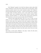 Įmonės UAB “Didbatukas” verslo planas 2 puslapis