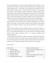 Įmonės UAB “Didbatukas” verslo planas 12 puslapis