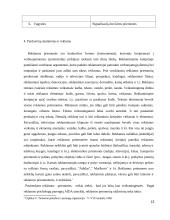 Įmonės UAB “Didbatukas” verslo planas 13 puslapis